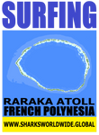 8 SFNG RARA S