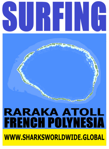 8 SFNG RARA S