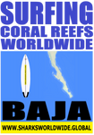 32SGCRW BAJA F/R T