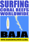 32SGCRW BAJA F/R T