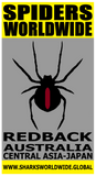 SPWW REDB FP