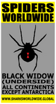 SPWW BLKW FP