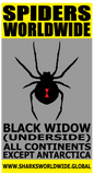 SPWW BLKW FP