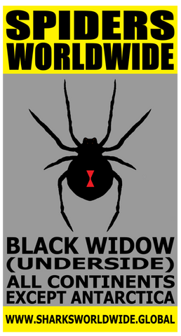 SPWW BLKW M