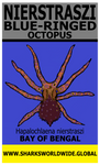 NIER OCTOPUS V2 T