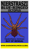 NIER OCTOPUS V2 T