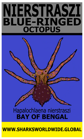 NIER OCTOPUS V2 T