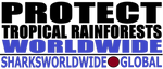 L PTR WW T