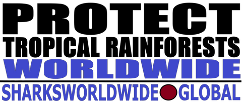 L PTR WW T