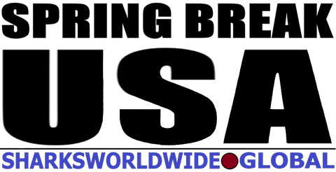 LOGOSB USA H