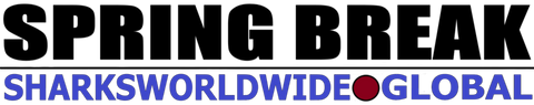 LOGOSB H