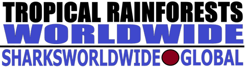 L TR WW T