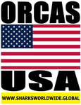 ORCAD USA V2 T