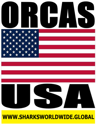 ORCAD USA V2 T
