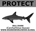 PRS BULL SHARK V2 C