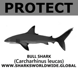 PRS BULL SHARK V2 C