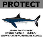 PRS GIANT MAKO V2 M