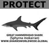 PRS G HAMMERHEAD V2 C