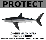 PRS LONGFIN V2 C