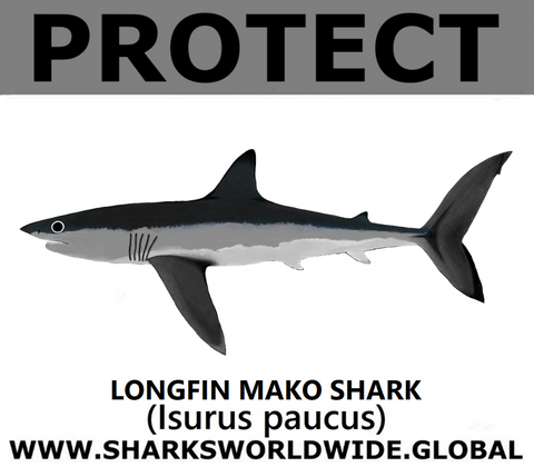 PRS LONGFIN V2 M