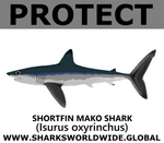 PRS SHORTFIN V2 M