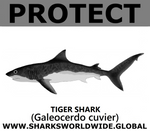 PRS TIGER SHARK V2 C