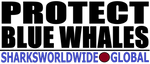 LPBLUEW M