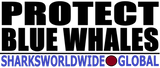 LPBLUEW M