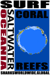 SURFCR T