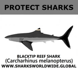 PRS BLACKTIP REEF V1 C
