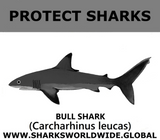PRS BULL SHARK V1 M