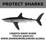 PRS LONGFIN V1 C