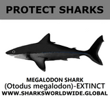 PRS MEGALODON V1 C