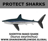 PRS SHORTFIN V1 M
