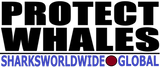 LPW T