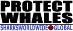 LPW M