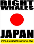 RIGHW JPN V2 M