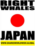 RIGHW JPN V2 M