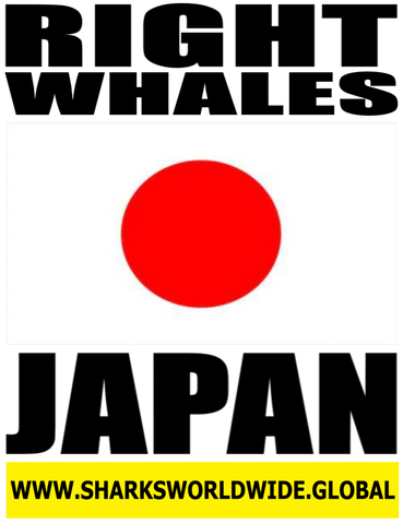 RIGHW JPN V2 M