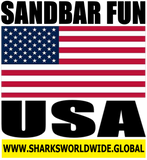 SBAR USA V2 M