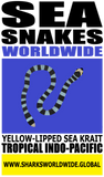 SESW YLSK VI M