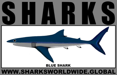 SRS BLUE SHARK M