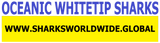 SHNB OWT F/R T