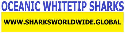 SHNB OWT F/R T