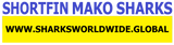 SHNB SFM F/R T
