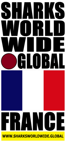 SHDG FRA V2 C T