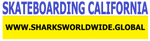 SBGNB CA F/R T