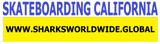 SBGNB CA F/R T