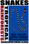SNAKES RTCS M