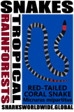SNAKES RTCS M